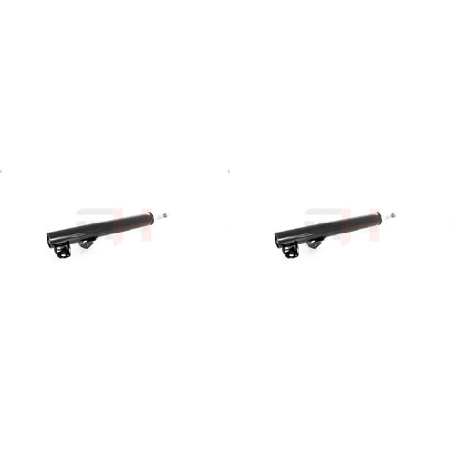 Stoßdämpfer vorne - 2x,